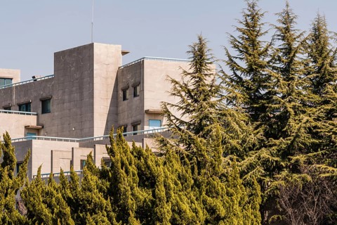 White concrete building with metal railing behind a stand of evergreen trees with a dull blue shy