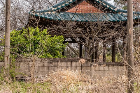 Old oriental style covered pavilion surrounded by a concrete wall in an overgrown woodland area in