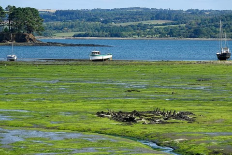 Greve de Tibidy at low tide, Hopital-Camfrout, Bay of Brest, Finistere Penn ar Bed, Bretagne