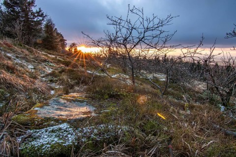 Landscape on the Grosser Feldberg, Taunus volcanic region. A cloudy, sunny winter day, meadows,