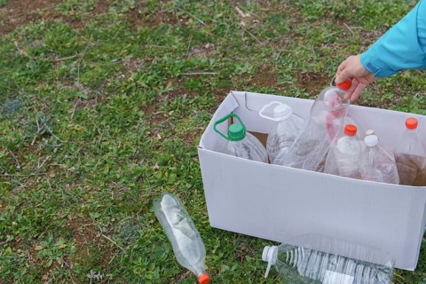 Woman collecting empty plastic bottles in the field to recycle, concept of ecology and respect for