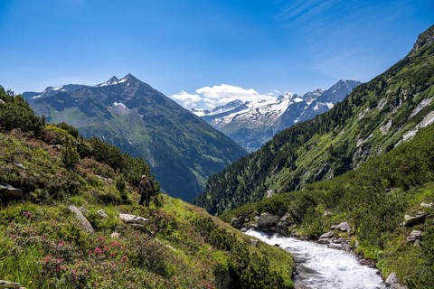 Mountaineer on a hiking trail by a stream, Berliner Hoehenweg, summit Grosser Ingent and Grosser