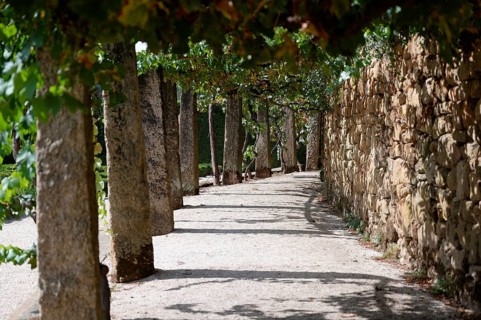 Path, Jardim das Coroas, Mateus Palace (Fundacao da Casa de Mateus), Mateus, Vila Real, Portugal,