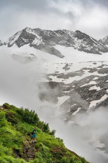 Mountaineers on a hiking trail, in the background glaciated peak Dosso Largo and glacier
