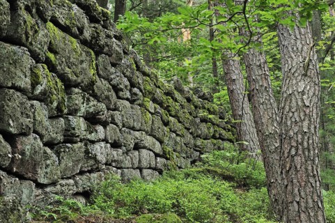 The Pagan Wall, Mur Paien in forest near Mont Sainte-Odile, Vosges, Alsace, France, Europe