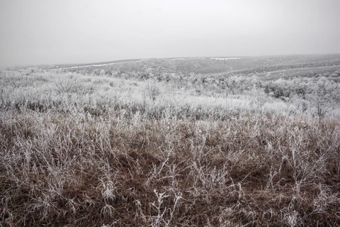 Hoarfrost, winter landscape, front near Debaltseve, Donbas, Ukraine, Europe