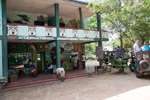 Elephant safari in Hurulu Eco Park biosphere reserve, Habarana, Anuradhapura District, Sri Lanka,