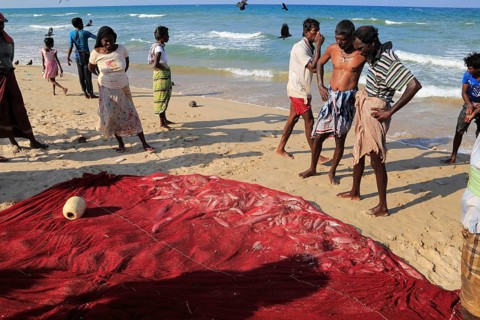 Traditional fishing hauling nets Nilavelli beach, near Trincomalee, Eastern province, Sri Lanka,