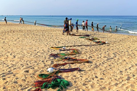 Traditional fishing hauling nets Nilavelli beach, near Trincomalee, Eastern province, Sri Lanka,