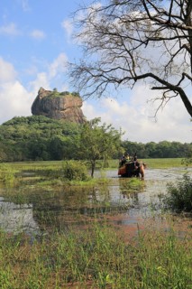 Elephant ride in lake by rock palace, Sigiriya, Central Province, Sri Lanka, Asia