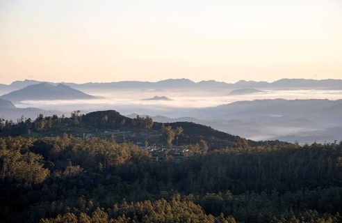 Early morning clouds near Nuwara Eliya viewed from Horton Plains national park, Sri Lanka, Asia
