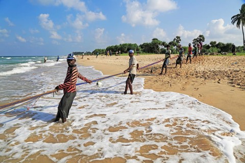 Traditional fishing hauling nets Nilavelli beach, near Trincomalee, Eastern province, Sri Lanka,