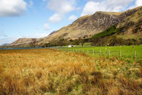Fields at Lake Buttermere, Gatesgarth, Lake District national park, Cumbria, England, UK