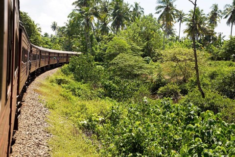 Railway train passing through countryside between Galle and Mirissa, Sri Lanka, Asia