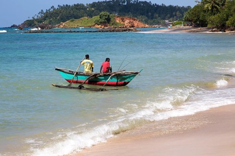 Fishing using traditional outrigger canoes, Mirissa, Sri Lanka, Asia