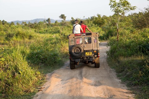 Elephant safari in Hurulu Eco Park biosphere reserve, Habarana, Anuradhapura District, Sri Lanka,