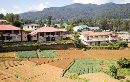 View over the town of Nuwara Eliya, Central Province, Sri Lanka farmland in foreground