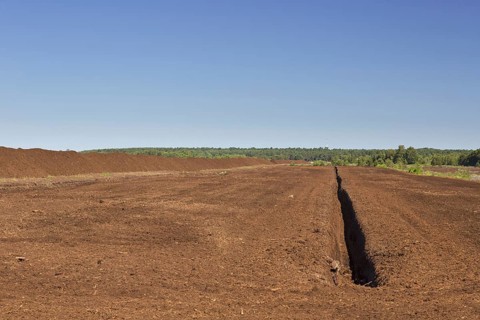 Peat extraction at Totes Moor, Tote Moor, raised bog near Neustadt am Ruebenberge, district of