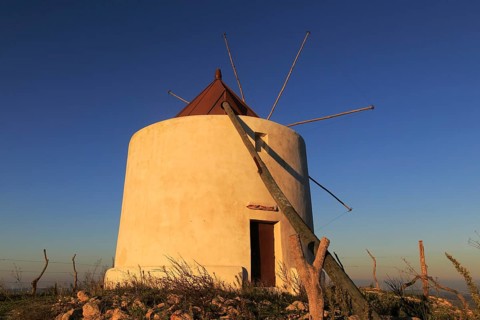 Traditional windmill at dusk, Vejer de la Frontera, Cadiz Province, Spain, Europe