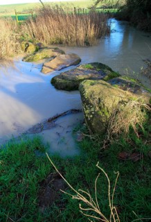 Stepping stones at Swallowhead Springs ancient sacred site, River Kennet, West Kennet, Wiltshire,
