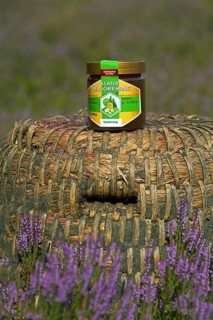 Honey jar on old beehive, skep of apiary in the Lueneburg Heath, Lunenburg Heathland, Lower Saxony,