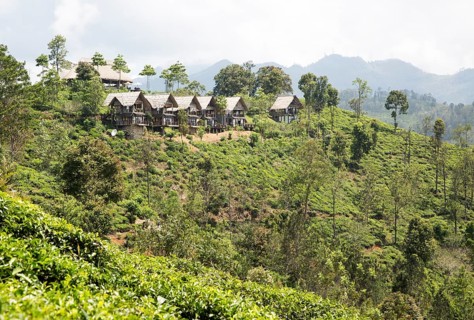 98 Acres resort luxury lodges, Ella, Badulla District, Uva Province, Sri Lanka, Asia