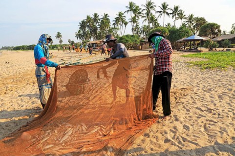 Traditional fishing hauling nets Nilavelli beach, near Trincomalee, Eastern province, Sri Lanka,