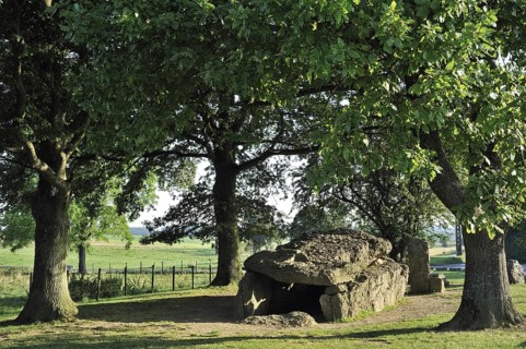 Megalithic Grand Dolmen de Weris and menhir made of conglomerate rock, Belgian Ardennes,