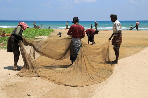 Traditional fishing hauling nets Nilavelli beach, near Trincomalee, Eastern province, Sri Lanka,