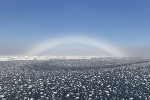Fogbow, fog bow, white rainbow, sea-dog over the Arctic Sea at Svalbard, Norway, Europe