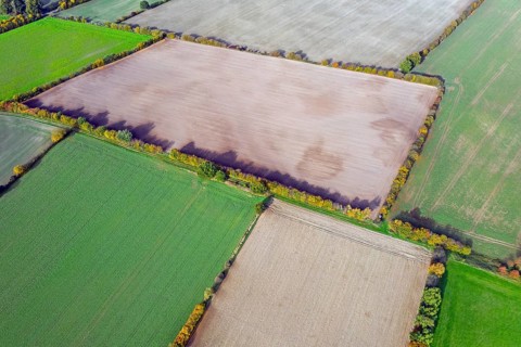 Aerial view over rural bocage landscape with fields and pastures, patchwork of plots surrounded by