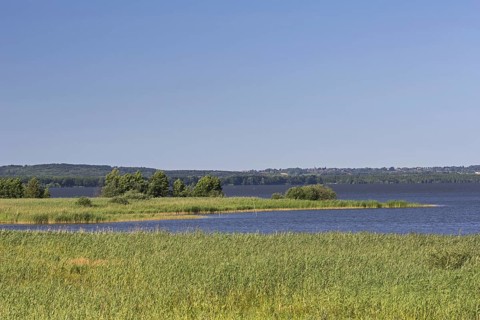 Steinhuder Meer, Lake Steinhude in the Hannoversche Moorgeest, Hanoverian Moor Geest in summer,