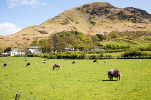 Robinson Fell, Buttermere, Lake District national park, Cumbria, England, UK