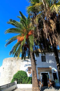 Palm trees and white buildings, Vejer de la Frontera, Cadiz Province, Spain, Europe
