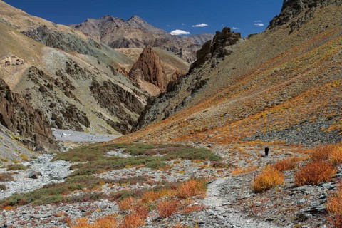 Trekking route in the Zherin Valley, a rarely visited trail in the Zanskar Region, with a trekker