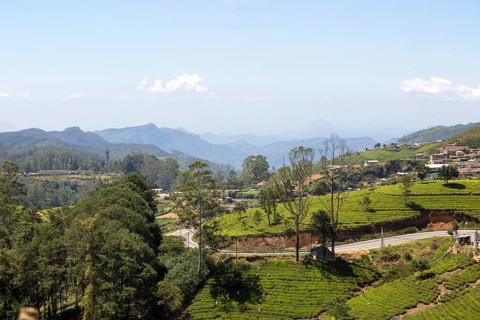 Landscape view tea estate, Nuwara Eliya, Central Province, Sri Lanka, Asia
