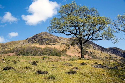 Landscape view of High Snockrigg Fell hill Buttermere, Cumbria, England, UK