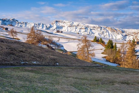 Landscape with snow-covered mountains in the background in the morning light, rose garden, Seiser