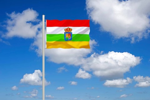 The flag of La Rioja, Studio