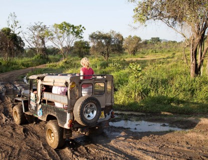 Elephant safari in Hurulu Eco Park biosphere reserve, Habarana, Anuradhapura District, Sri Lanka,
