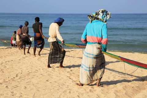 Traditional fishing hauling nets Nilavelli beach, near Trincomalee, Eastern province, Sri Lanka,