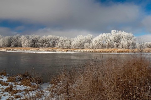 Kearney, Nebraska, Frost on trees along the Platte River on a January day