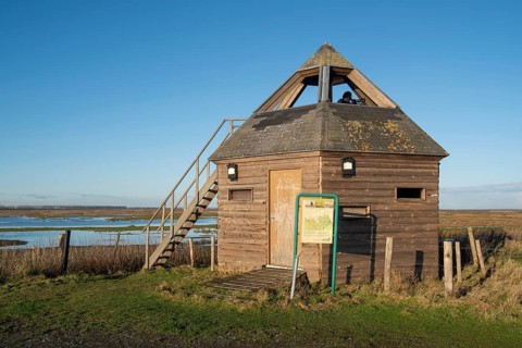 Bird hide at the nature reserve Verdronken Land van Saeftinghe, salt marsh of the Western Scheldt