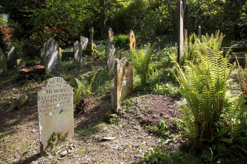 Historic gravestones amidst sub-tropical plants, St Just in Roseland, Cornwall, England, UK