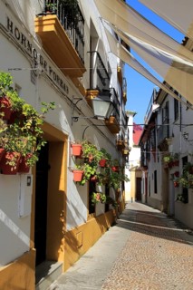 Attractive shaded houses cobbled street in of part of city, Horno de Porras, Cordoba, Spain, Europe