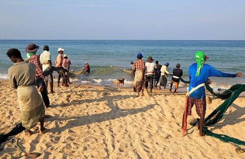 Traditional fishing hauling nets Nilavelli beach, near Trincomalee, Eastern province, Sri Lanka,