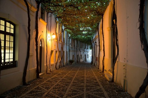 Historic cobbled street Calle Ciegos in Gonzalez Byass bodega, Jerez de la Frontera, Spain, Europe