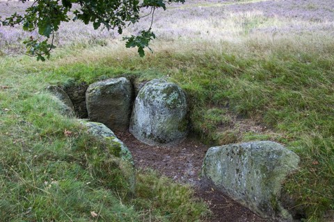 Passage grave at Oldendorfer Totenstatt, group of six burial mounds and megalith sites in Oldendorf