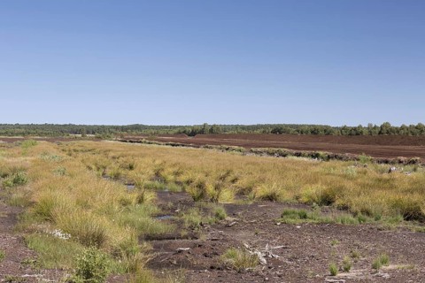 Peat extraction at Totes Moor, Tote Moor, raised bog near Neustadt am Ruebenberge, district of