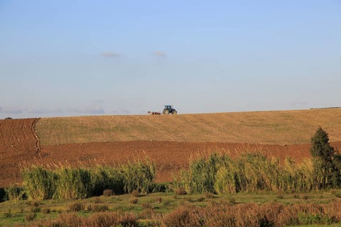 Tractor ploughing ridge along hillside in countryside near Vejer de la Fronterra, Cadiz Province,
